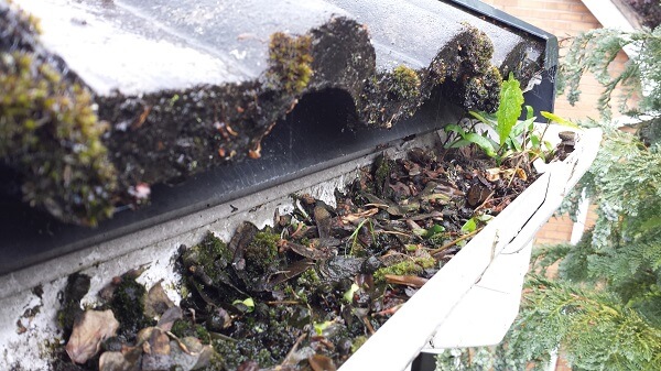 image of gutter cleaning